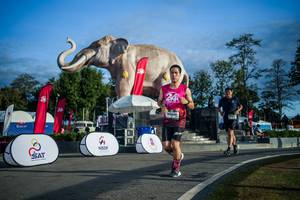 BIB: 
                            <button type="button" onclick="openModal(26541693)" class="btn btn-primary btn-sm float-right btn-popup" data-toggle="modal" data-target=".modal-high-quality">
                        <i class="fas fa-shopping-cart"></i> Add to Cart
                    </button>
                                            <button type="button" onclick="isThisMe(26541693, true)" class="btn btn-success btn-sm float-right btn-popup btn-isme hidden" data-toggle="tooltip" data-placement="bottom" title="นี่คือรูปของคุณใช่ไหม คลิกที่นี่เพื่อเอาเข้าอัลบั้ม">
                        <i class="fas fa-plus"></i> Add to album
                    </button>
                    <button type="button" onclick="isThisMe(26541693, false)" class="btn btn-warning btn-sm float-right btn-popup btn-isnotme hidden">
                        <i class="fas fa-ban"></i> Remove from album
                    </button>